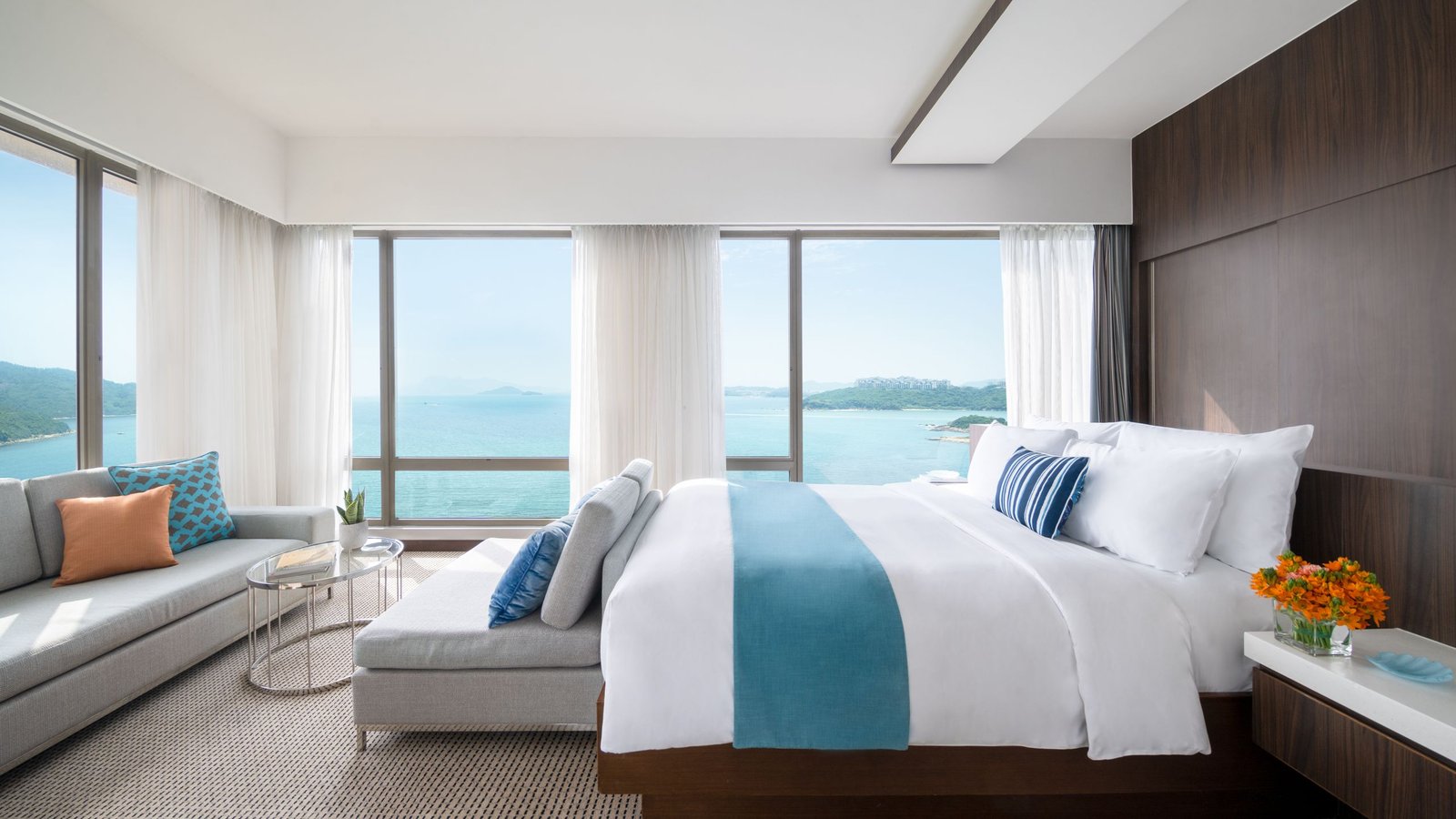 Deluxe Ocean View Room